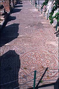 Mosaic path